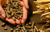 free Lintridge biomass boiler quotes