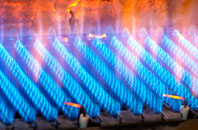 Lintridge gas fired boilers